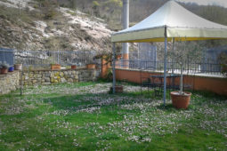Il grande giardino